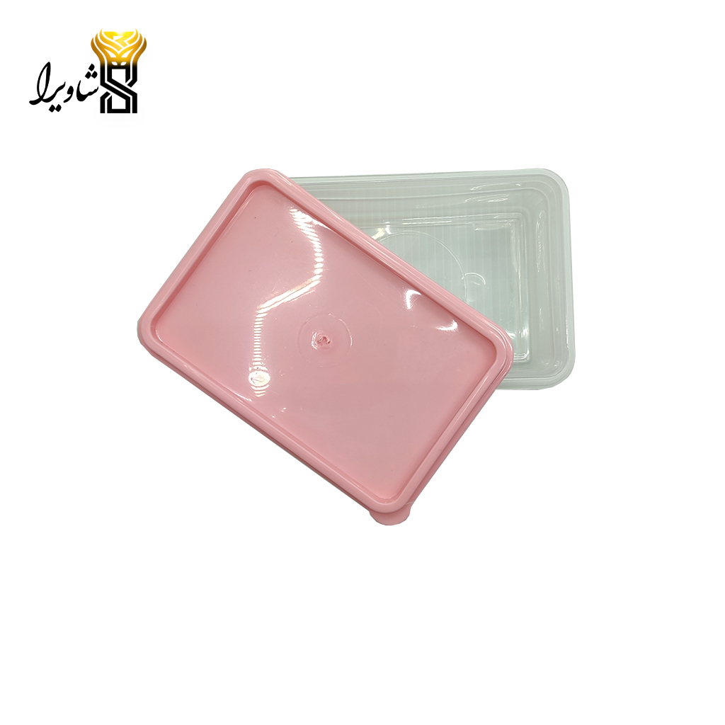 ظرف نگهدارنده