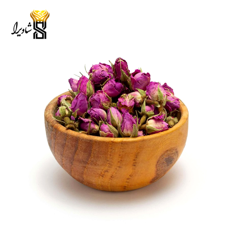 غنچه گل محمدی