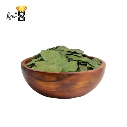 تصویر از برگ بو